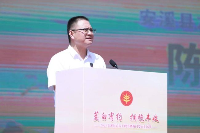 12c7a2d6909749dc96c4cc2f8b05093c-1