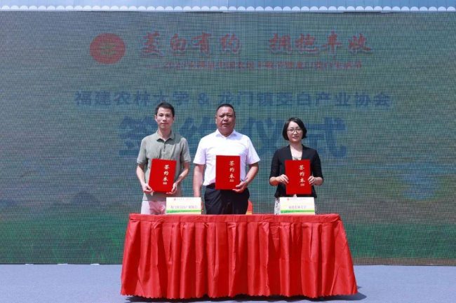 a82b53df920e4d7698707204f9d40697-1