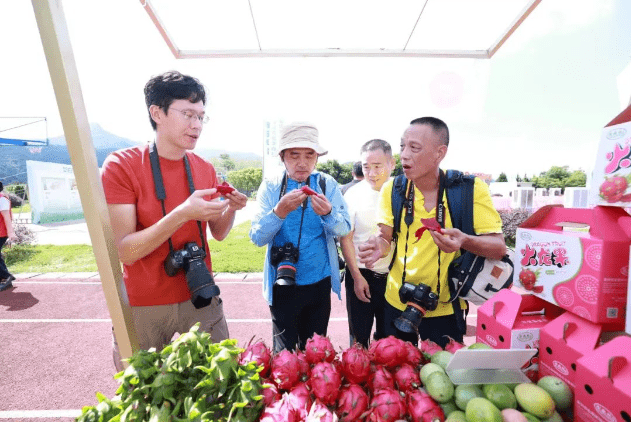 c24686a73bde4404a07c1b2e7fff113c-1